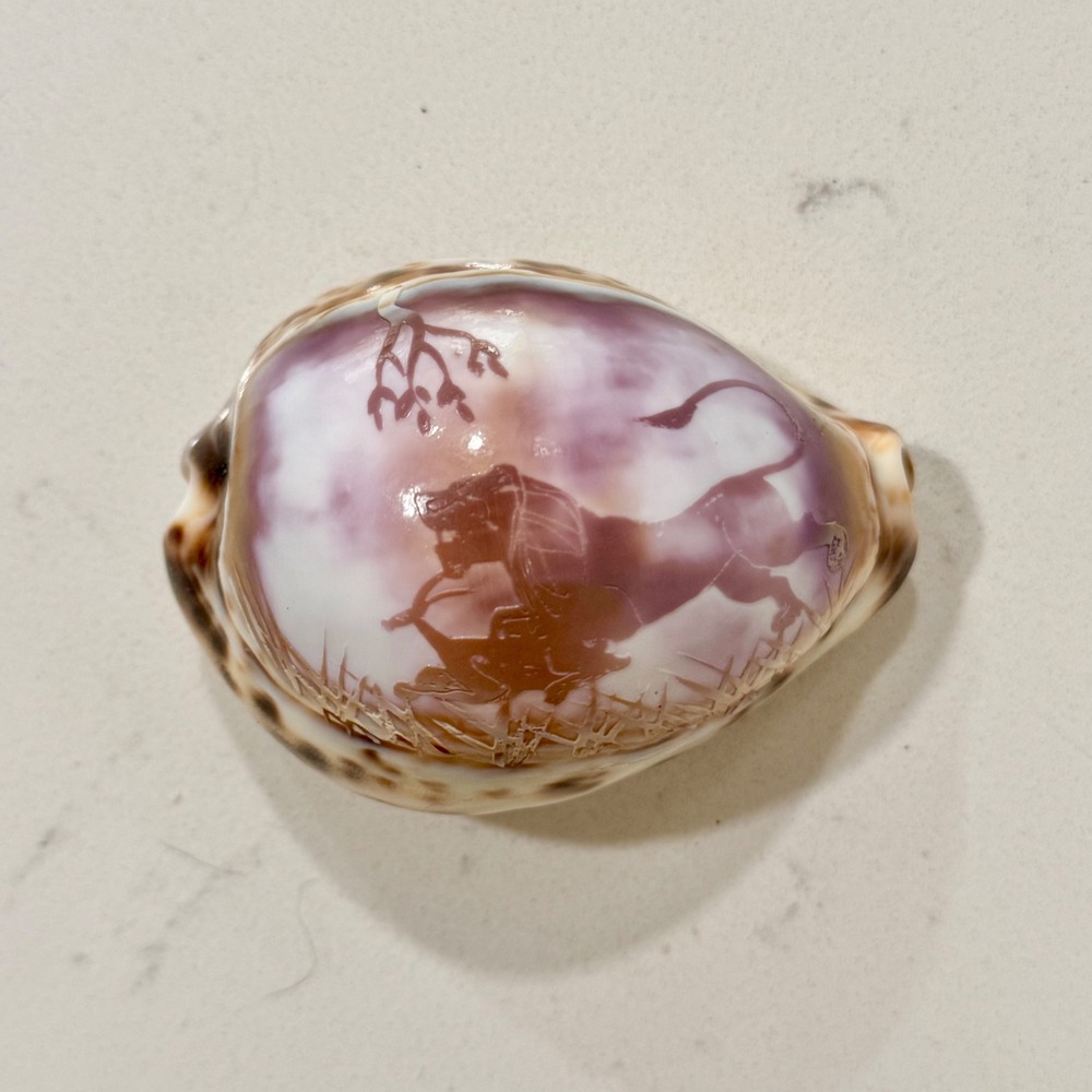 Hand Carved‎ Tiger Cowrie Shell Lion Cameo Engraved Nautical Decor 3.25 Inch